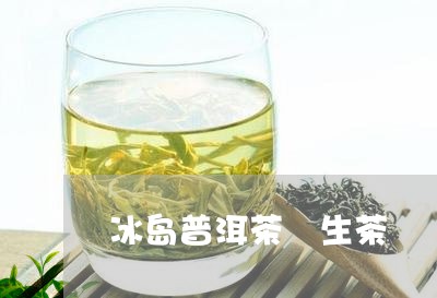 冰岛普洱茶 生茶/2023041353037